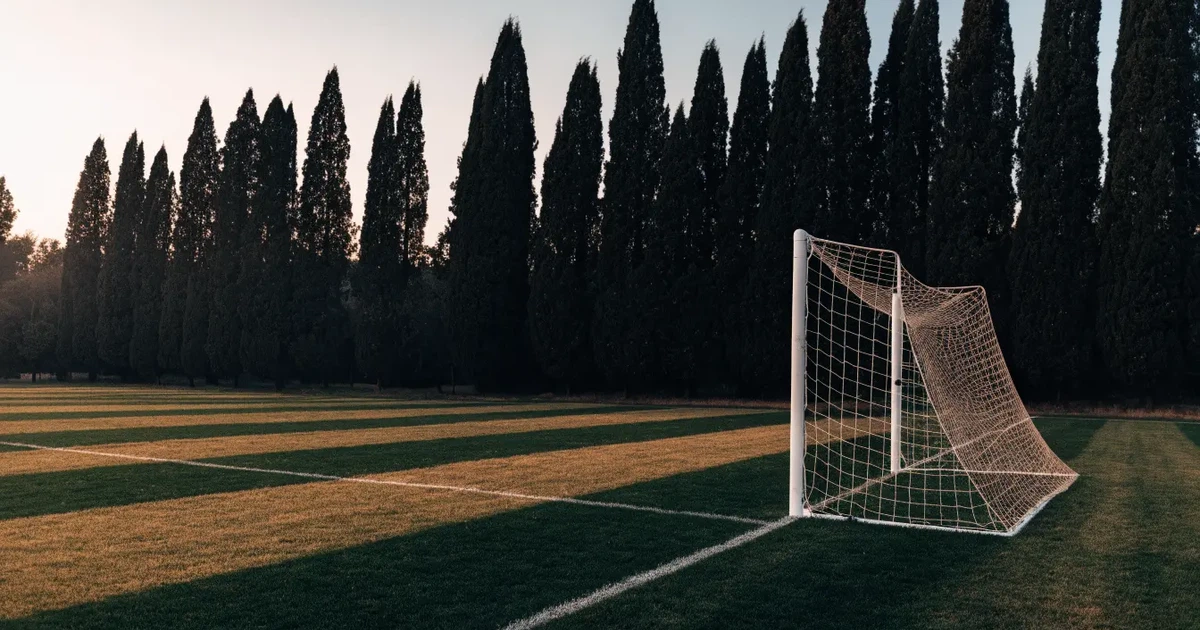 Ein Fußballtor mit Netz auf einem leeren Platz im Abendlicht, der Rasen frisch gemäht, im Hintergrund Zypressen.